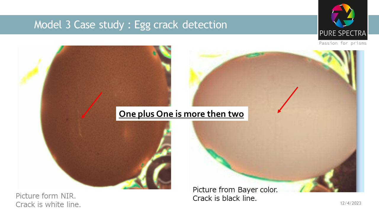 C3 egg crack detector.png